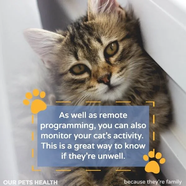 Sureflap microchip cat flap reviews hot sale